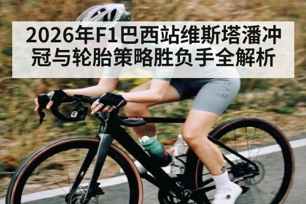 2026年F1巴西站维斯塔潘冲冠与轮胎策略胜负手全解析